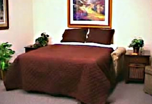Americana SKP Dream Sofa